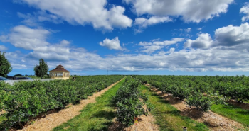 clarington-1-2-1 (1)